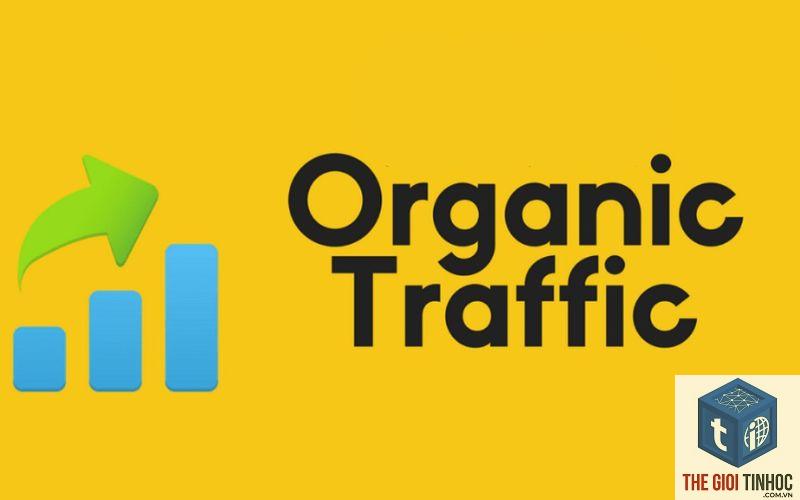 organic traffic là gì - Hình 2