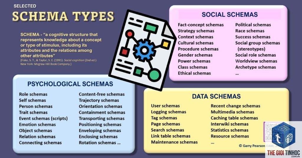 organization schema là gì