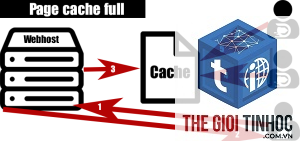 page cache wordpress là gì