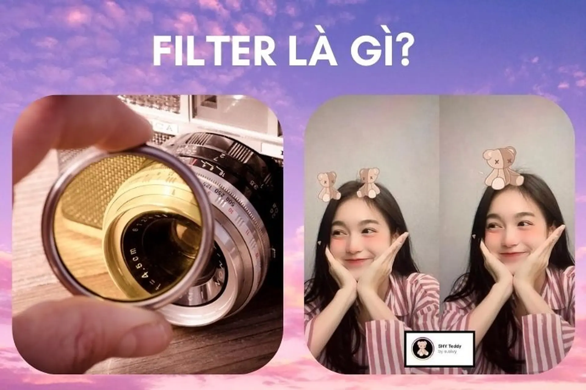 page filter là gì - Hình 5