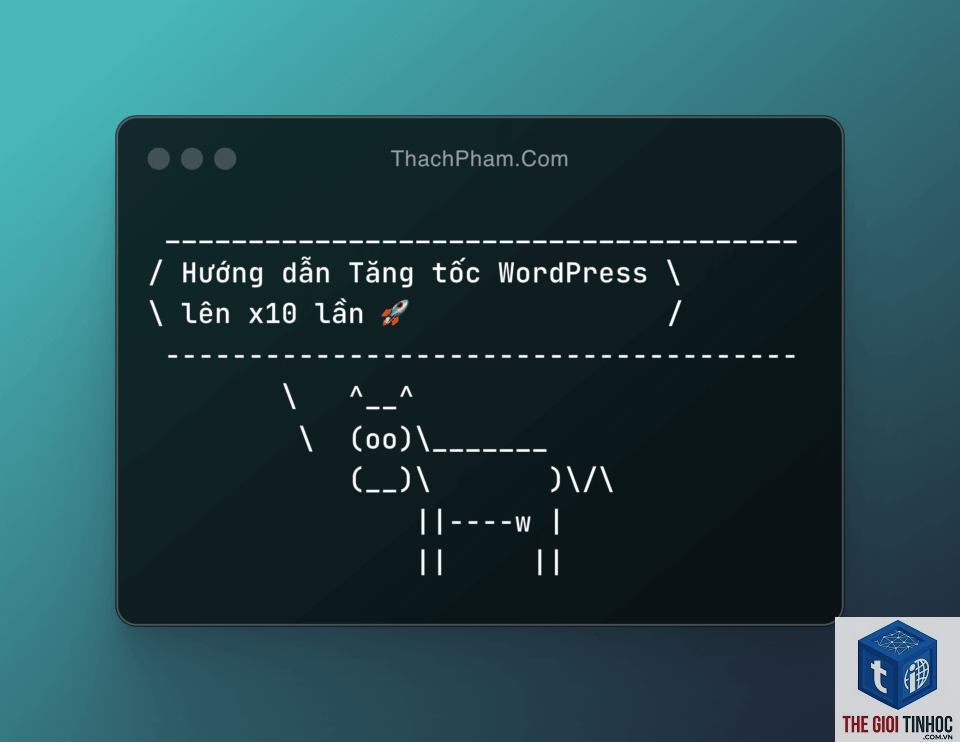 phân tích tốc độ wordpress - Hình 2