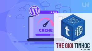 plugin cache gây lỗi css