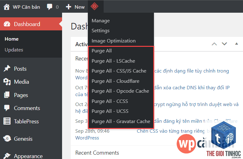 plugin cache không xóa cache - Hình 2