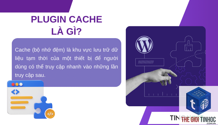 plugin cache wordpress là gì - Hình 3