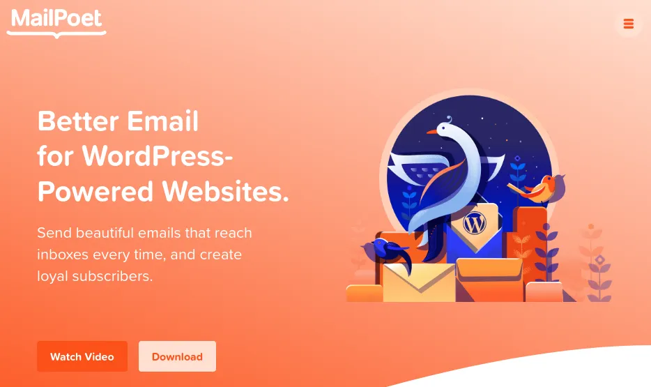 plugin email marketing wordpress là gì - Hình 2