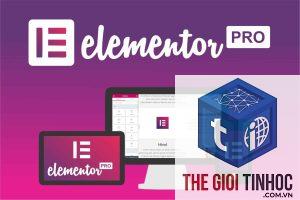 plugin page builder lỗi giao diện