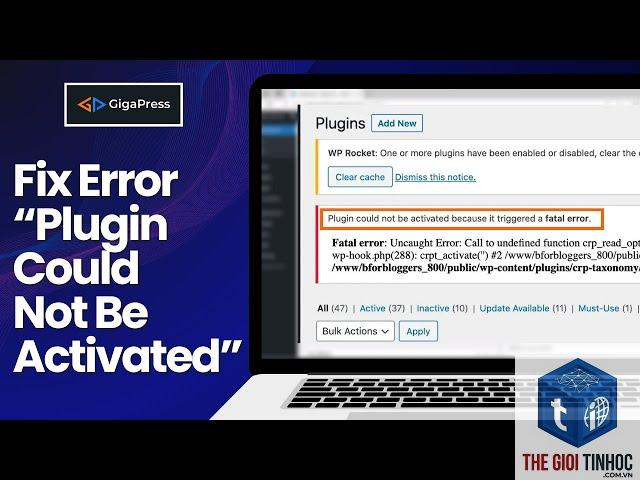 plugin wordpress activation error - Hình 4