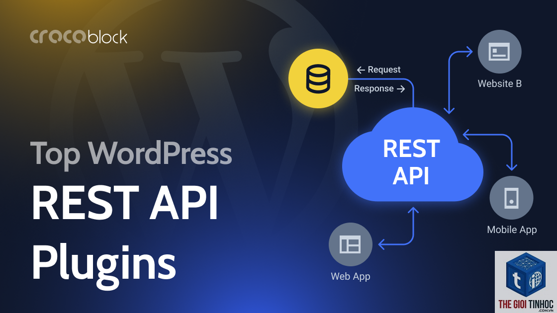 plugin wordpress api - Hình 3