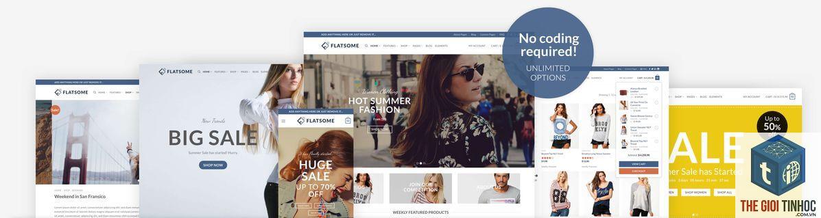 plugin wordpress conflict với theme flatsome - Hình 5