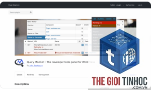 plugin wordpress diagnostic tools