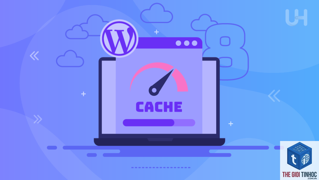 plugin wordpress gây lỗi cache