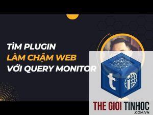 plugin wordpress gây query chậm