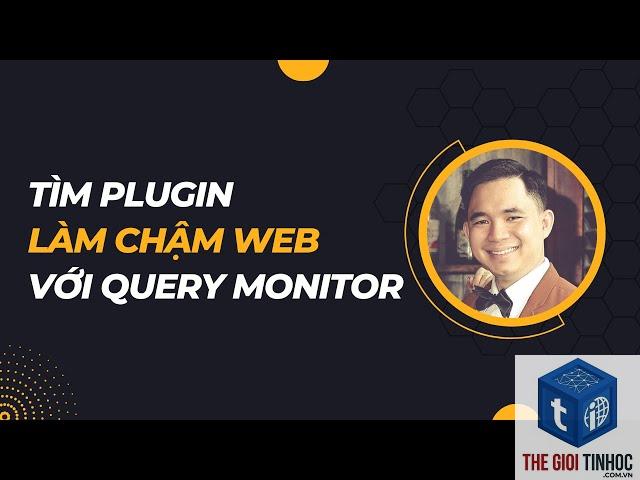 plugin wordpress gây query chậm