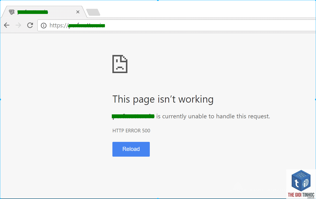 plugin wordpress gây trắng trang - Hình 1