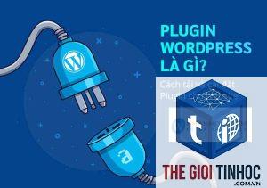 plugin wordpress là gì