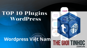 plugin wordpress nào cần thiết