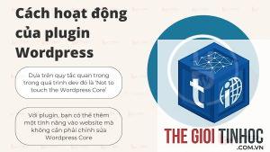 plugin wordpress và wordpress core