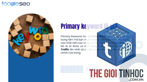 primary keyword là gì