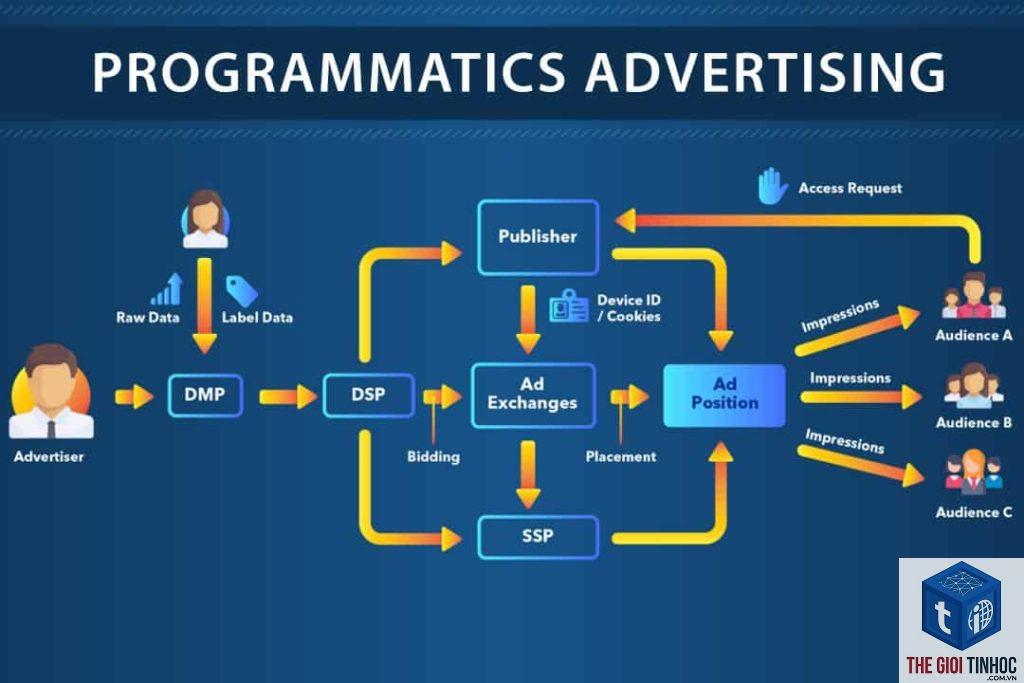 programmatic content là gì