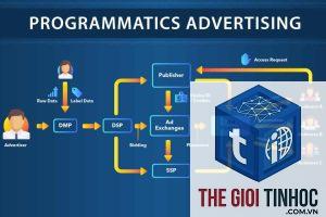 programmatic content là gì