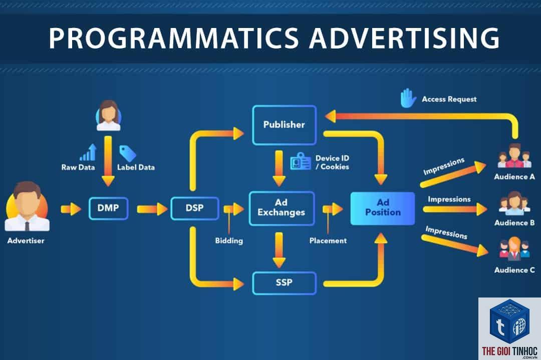 programmatic content là gì - Hình 1