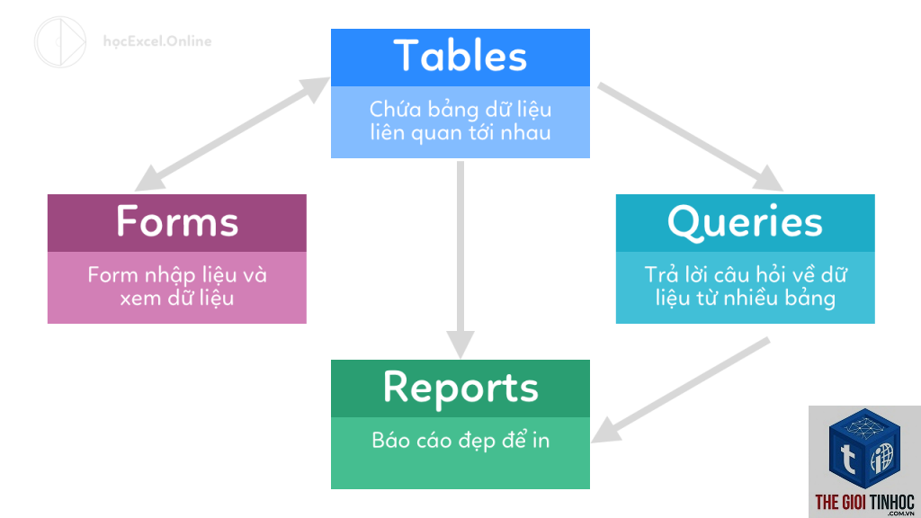queries report là gì