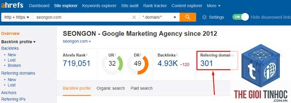 referring domains là gì trong ahrefs - Hình 3