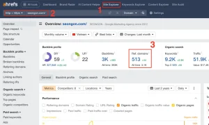 referring domains là gì trong ahrefs