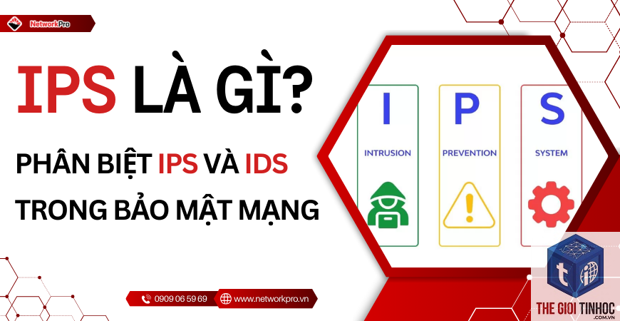 referring ips là gì - Hình 4