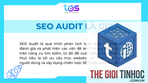seo audit là gì