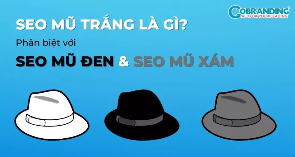 seo mũ trắng là gì - Hình 5