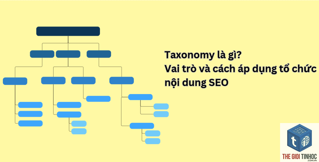 seo taxonomy là gì