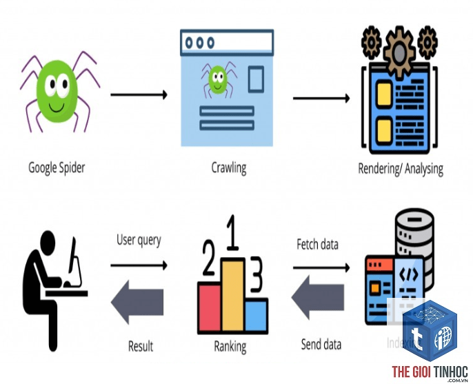 seo taxonomy là gì - Hình 2