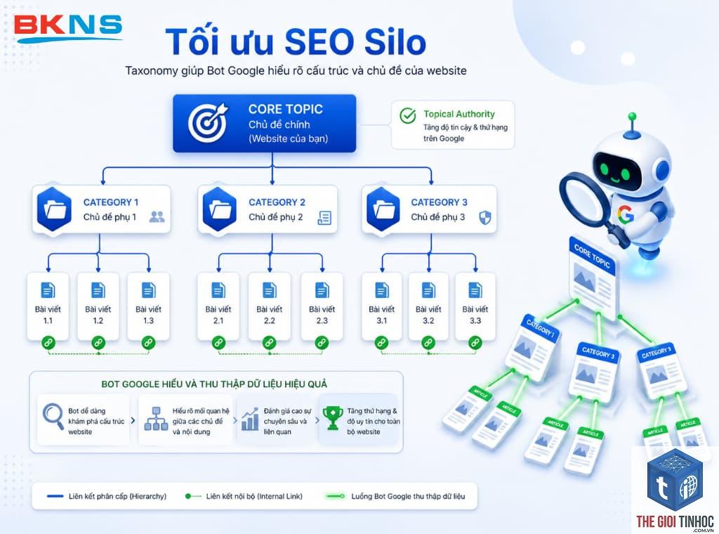 seo taxonomy là gì - Hình 3