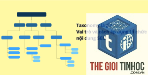seo taxonomy là gì