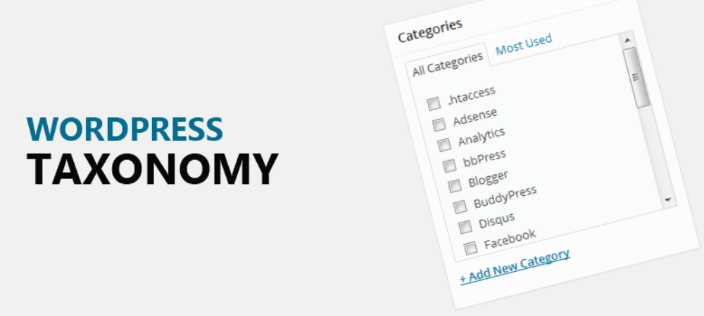 seo taxonomy là gì - Hình 4