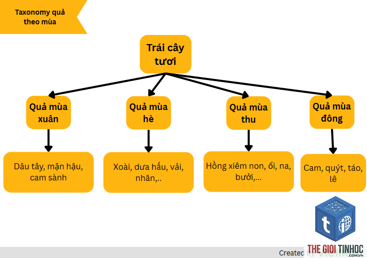 seo taxonomy là gì - Hình 5