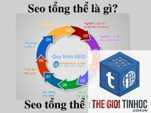 seo tổng thể là gì