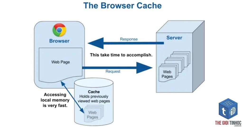 server cache wordpress là gì