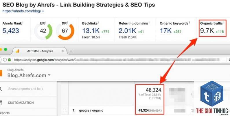 site structure trong ahrefs là gì - Hình 5