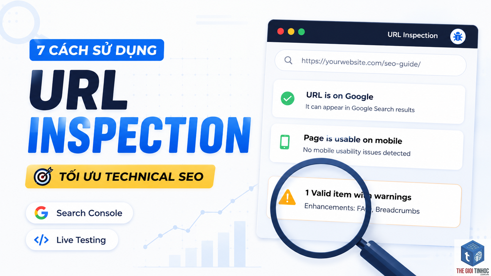 test live url là gì - Hình 4