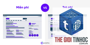 theme miễn phí vs theme trả phí