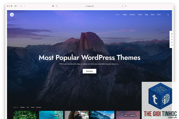 theme wordpress actions là gì - Hình 5