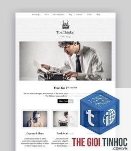 theme wordpress asset quá lớn