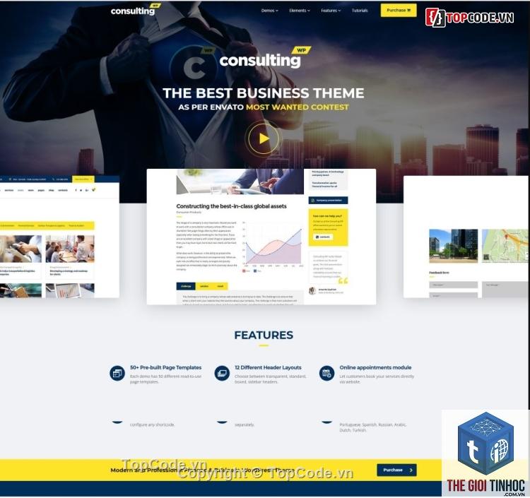 theme wordpress assets là gì - Hình 4