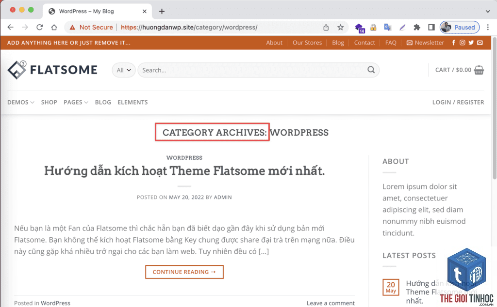theme wordpress category page lỗi - Hình 2