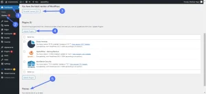 theme wordpress customizer crash