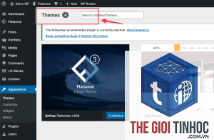 theme wordpress customizer không hoạt động