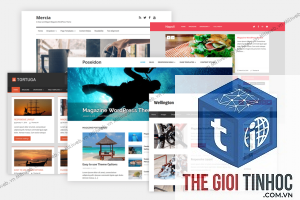 theme wordpress customizer không tải