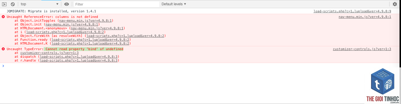 theme wordpress customizer lỗi js - Hình 2